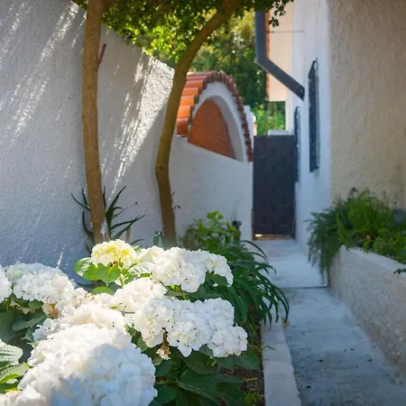 Villino Il Giardino - Ic Immobiliare *
